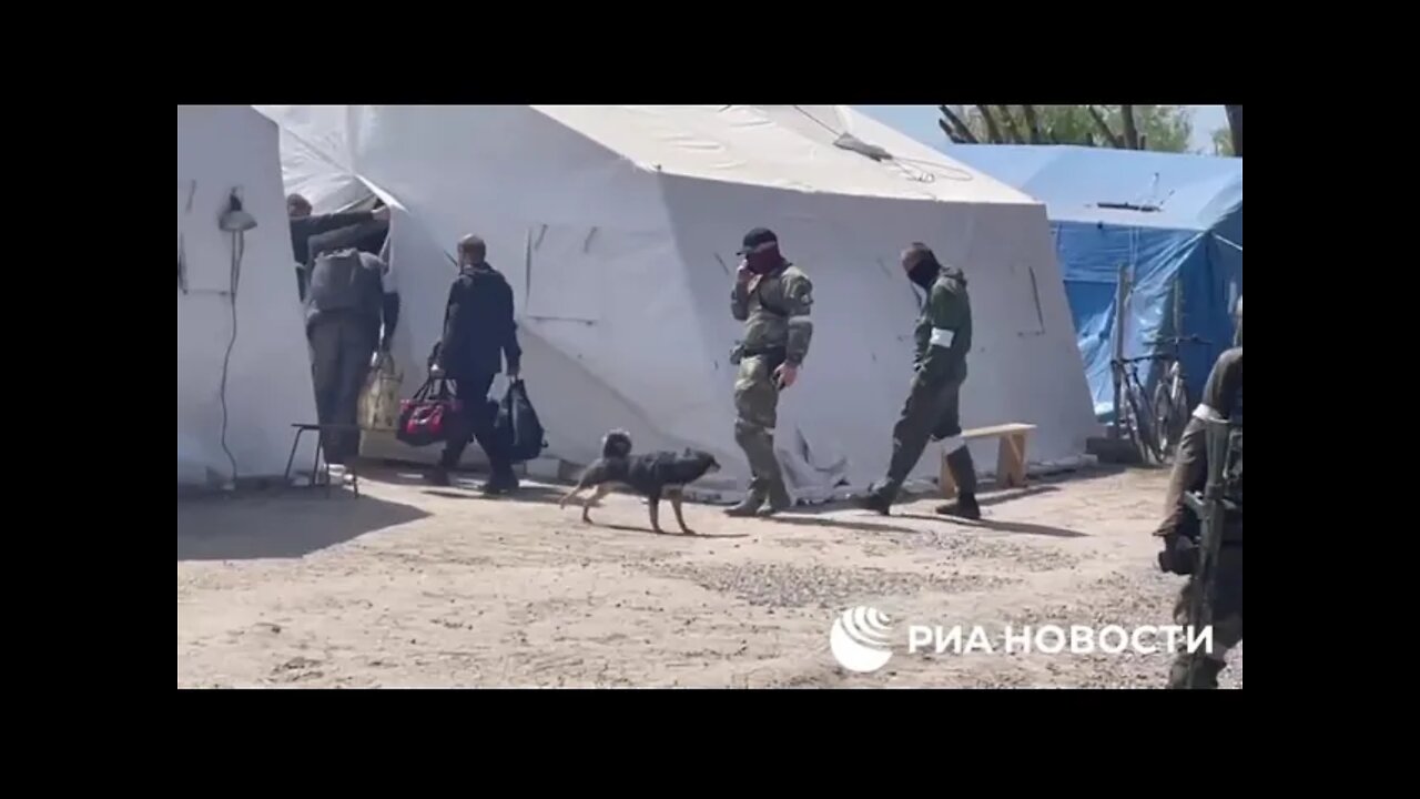 A Group Of Buses With About 40 Refugees From The Territories Adjacent To Azovstal
