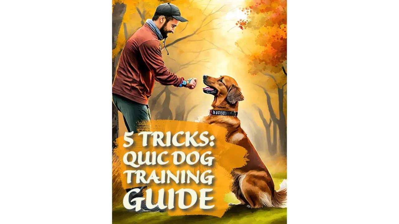 5 Tricks Quick Dog Training