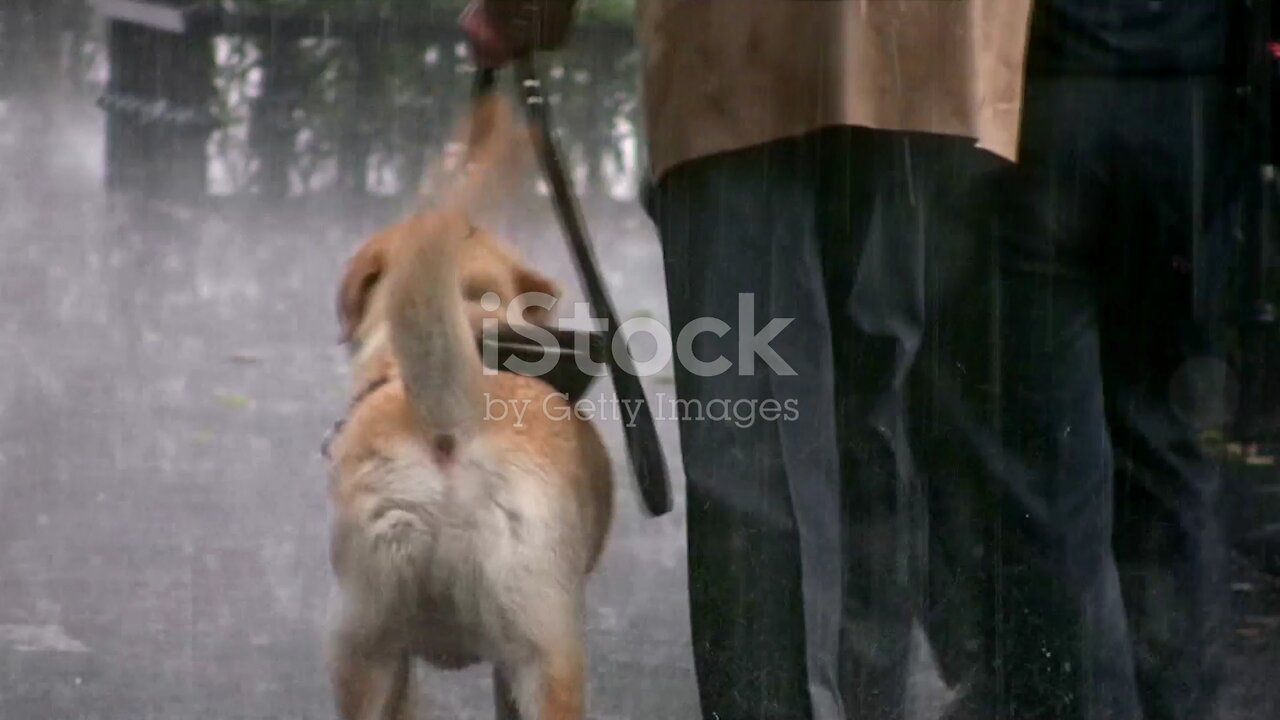 A girl with her dog in sch-o