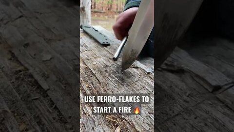 Amazing Way to Use Ferro-Rod! (With the SHEMANESE) #shorts #bushcraft #survival