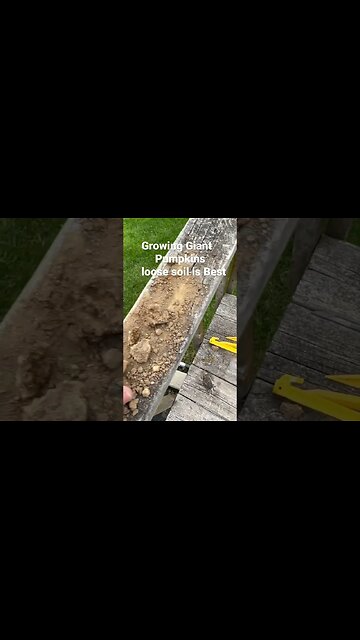 Soil Type Help Bubba ￼? #bubba #giantpumpkin #gardening