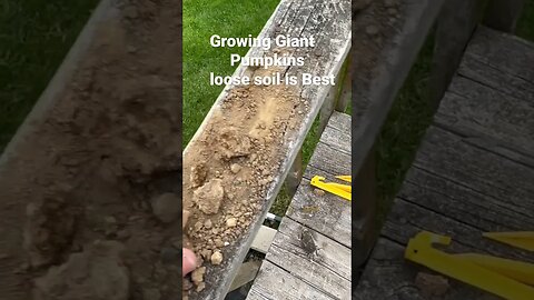 Soil Type Help Bubba ￼? #bubba #giantpumpkin #gardening