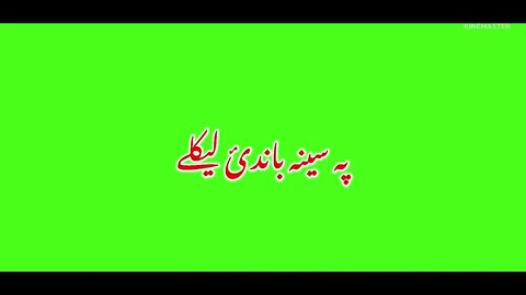 Pashto Green screen poetry my fav like and share