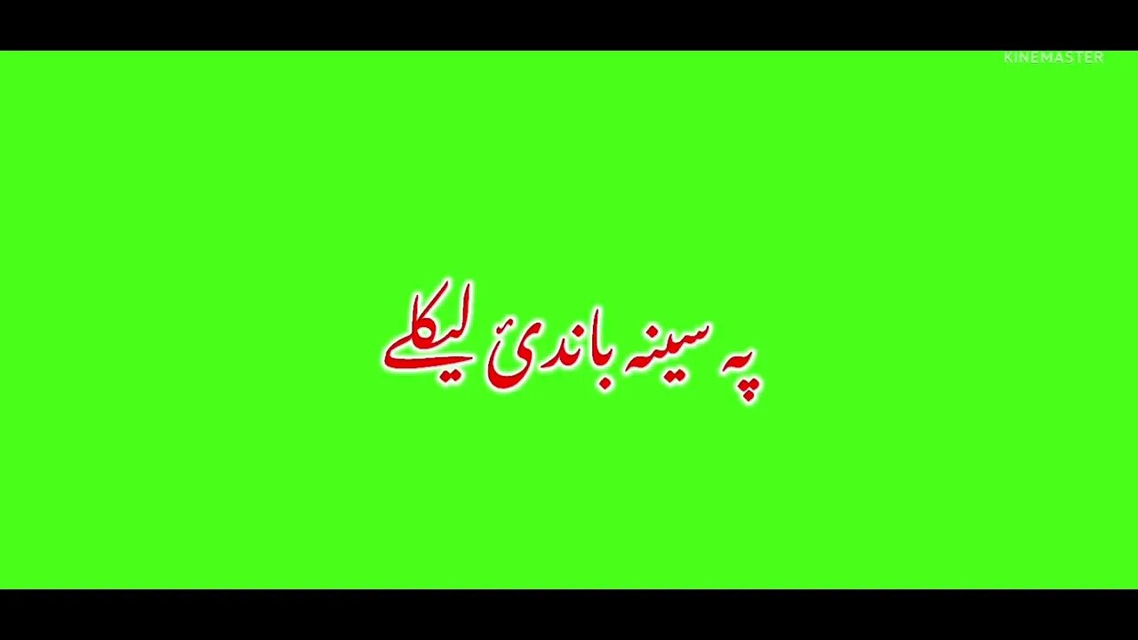 Pashto Green screen poetry my fav like and share