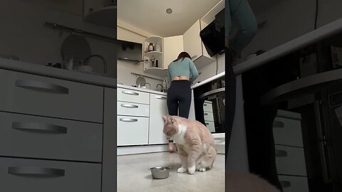 DJ Kitty Laying Down Some Hungry Beats