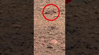 Som ET - 78 - Mars - Curiosity Sol 2020 #shorts