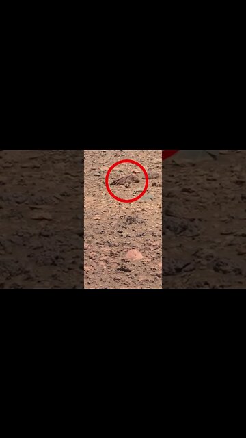 Som ET - 78 - Mars - Curiosity Sol 2020 #shorts