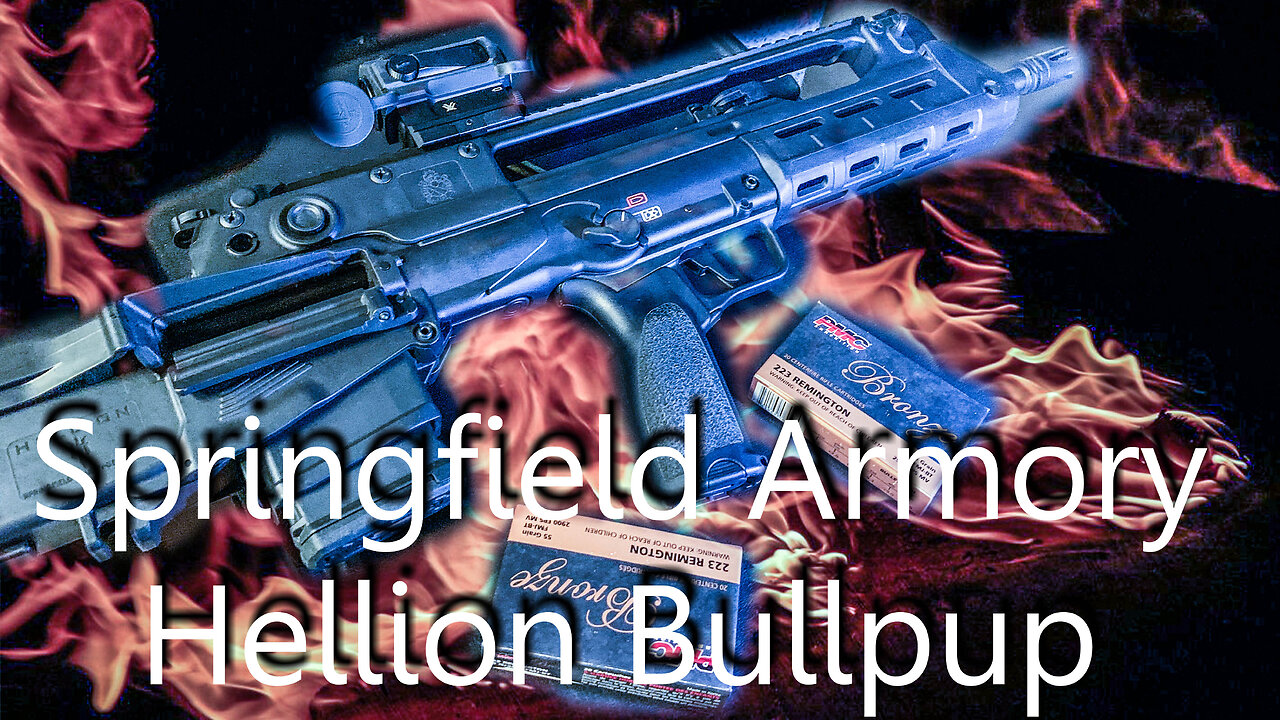 Springfield Armory Hellion Bullpup Excellent choice