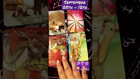 🔥September 05th - 12th🔥♈♐♌☀️🌙💫