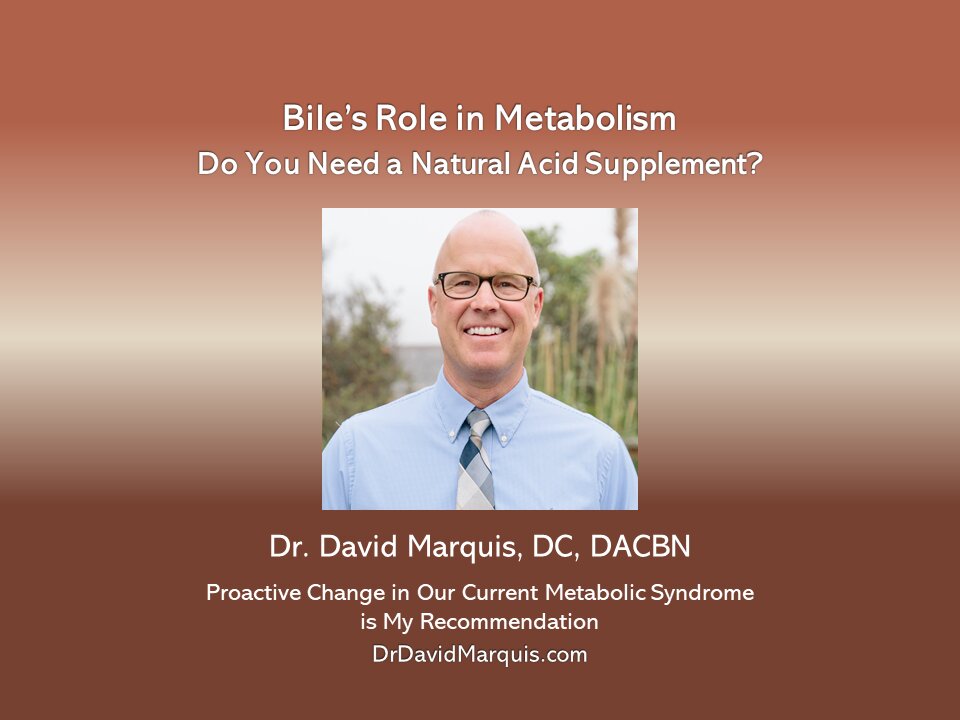 Bile's Role in Metabolism: Do You Need Support?