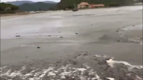 ۲۸ اوت ۲۰۲۲