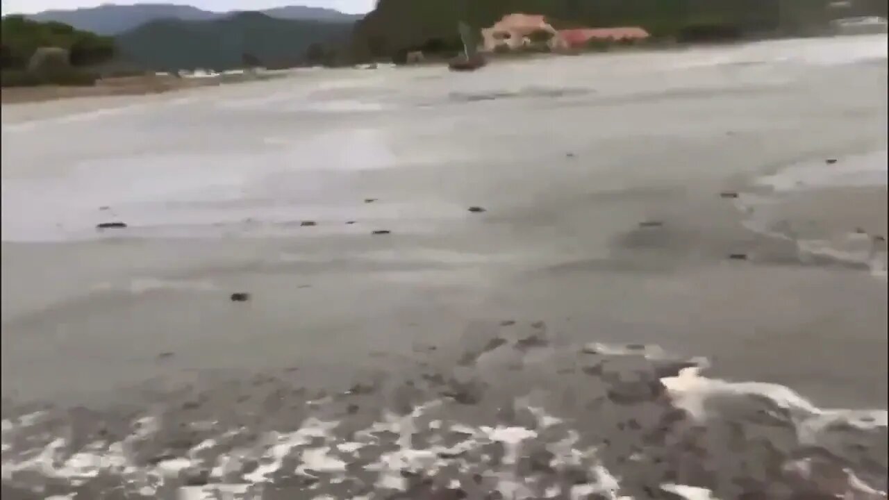 ۲۸ اوت ۲۰۲۲