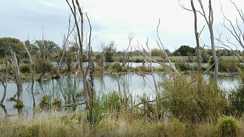 Where 2 becomes 1 | The Two Rivers Meet | Burke's Point | Weekend Short Walks