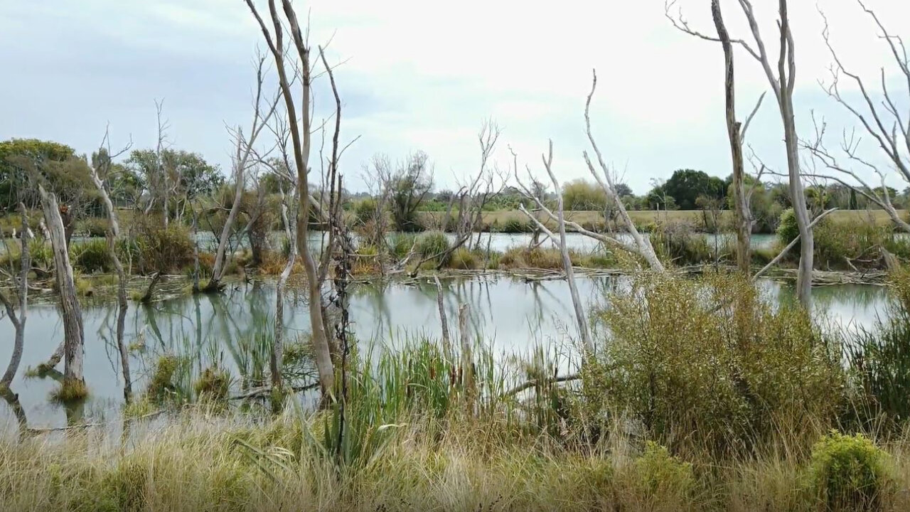 Where 2 becomes 1 | The Two Rivers Meet | Burke's Point | Weekend Short Walks