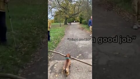 Funny moments in 2022(3)