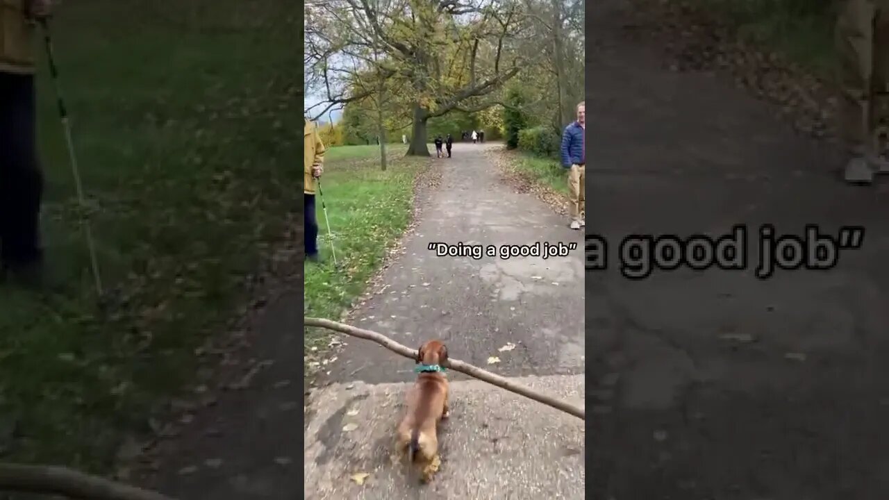 Funny moments in 2022(3)