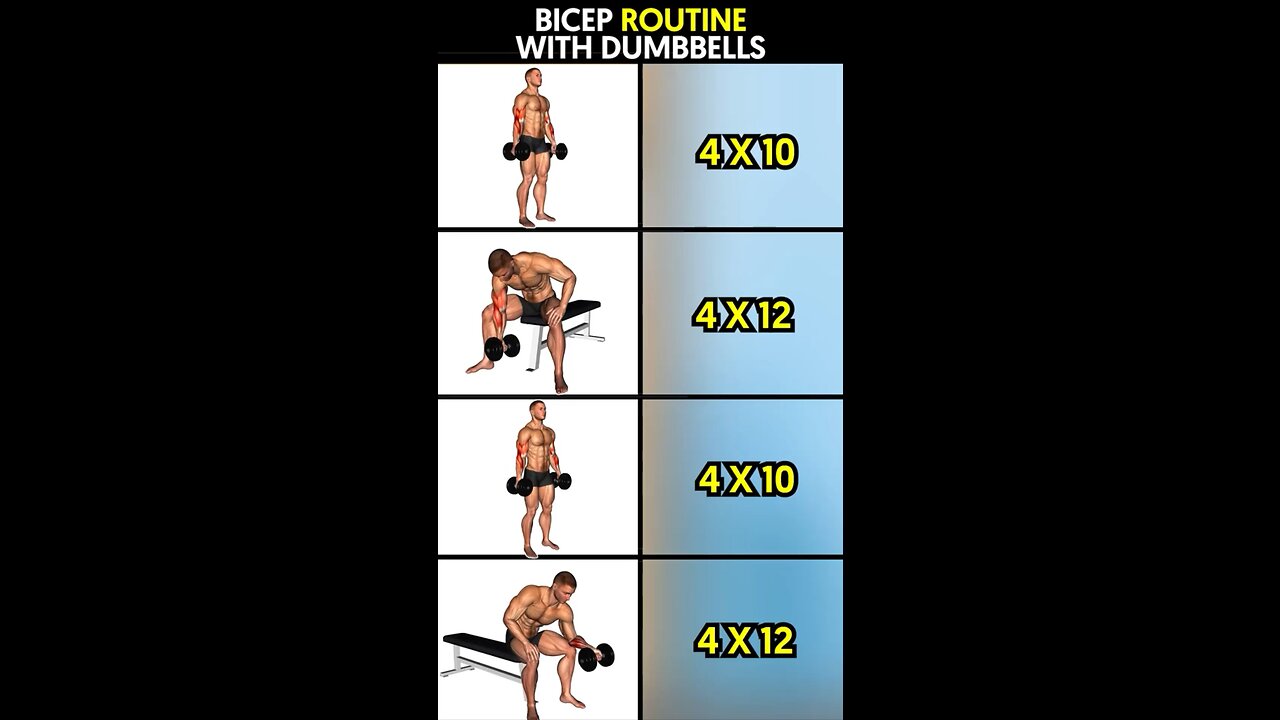 Bicep Workout Routine with Dumbbells