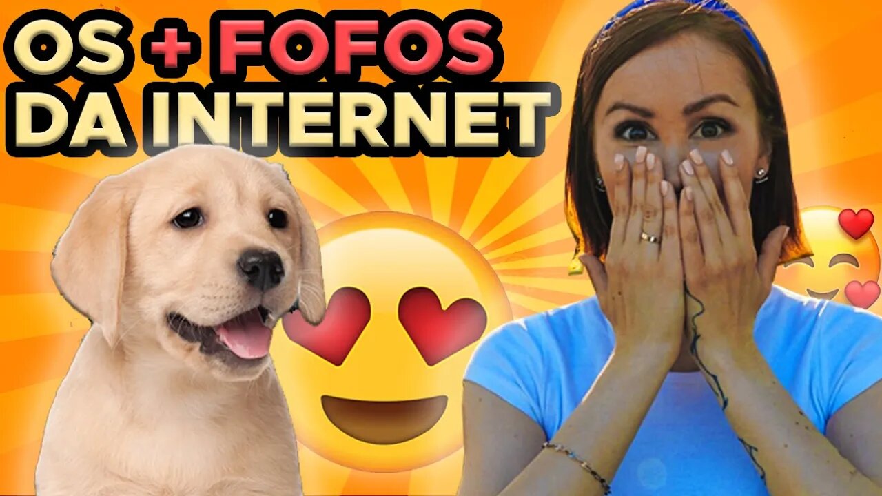 Os Filhotes + FOFOS DA INTERNET 🥰