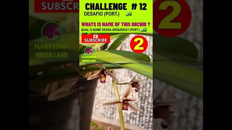 CHALLENGE # 12 |WHATS IS NAME OF THIS ORCHIDS?|YOU WANT TO LEARN? |# SHORT