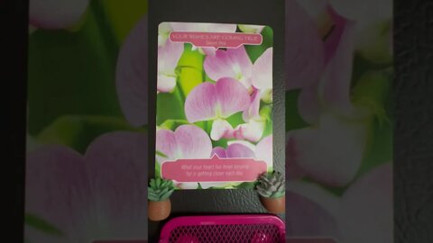 Freedom of the Heart; Spring Soul Series