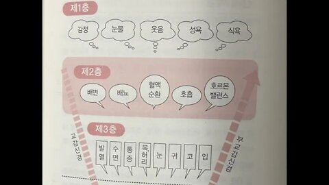 병은 재능이다, 오장, 동양의학, 오노코로 신페이, 간장, 심장, 비장, 신장, 병의계층도, 자가면역질환, 분노, 짜증, 조급함, 초조, 포도당, 정보수집, 자기표현, 카운슬링