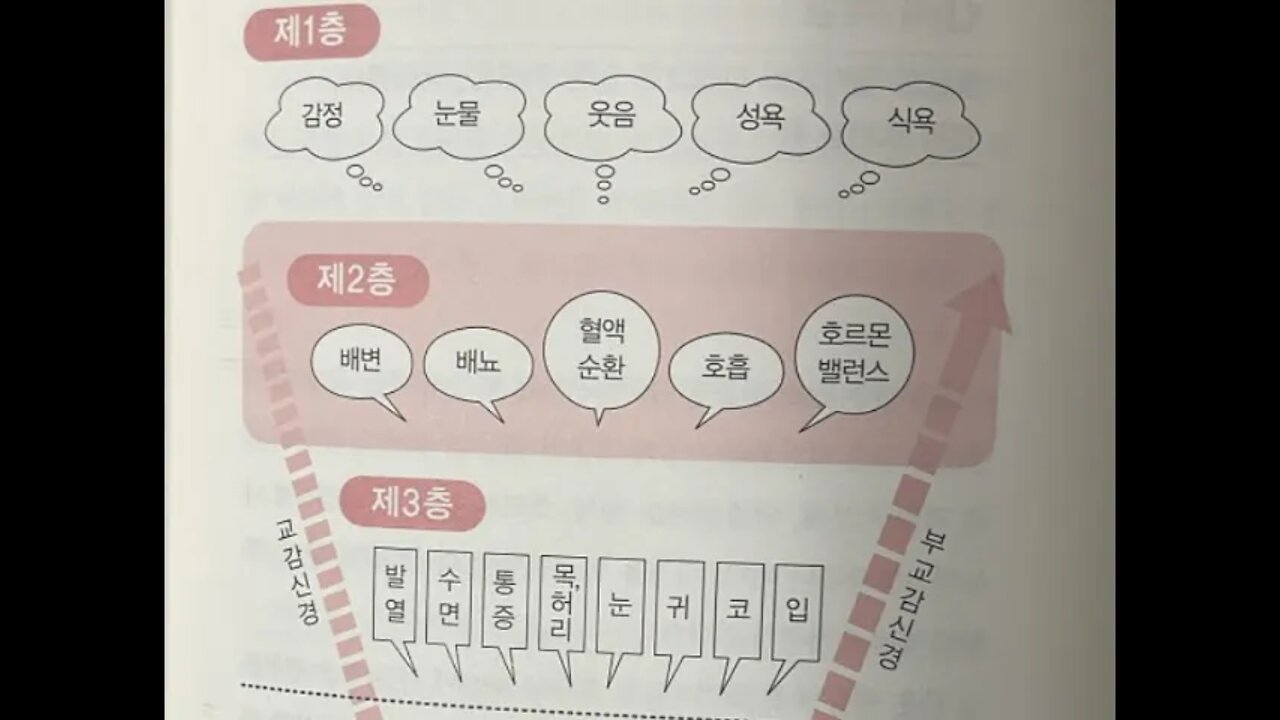 병은 재능이다, 오장, 동양의학, 오노코로 신페이, 간장, 심장, 비장, 신장, 병의계층도, 자가면역질환, 분노, 짜증, 조급함, 초조, 포도당, 정보수집, 자기표현, 카운슬링