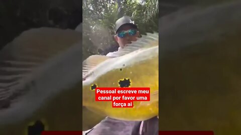 #pescaria de #gigante #tucunaré açú #shorts #fishing