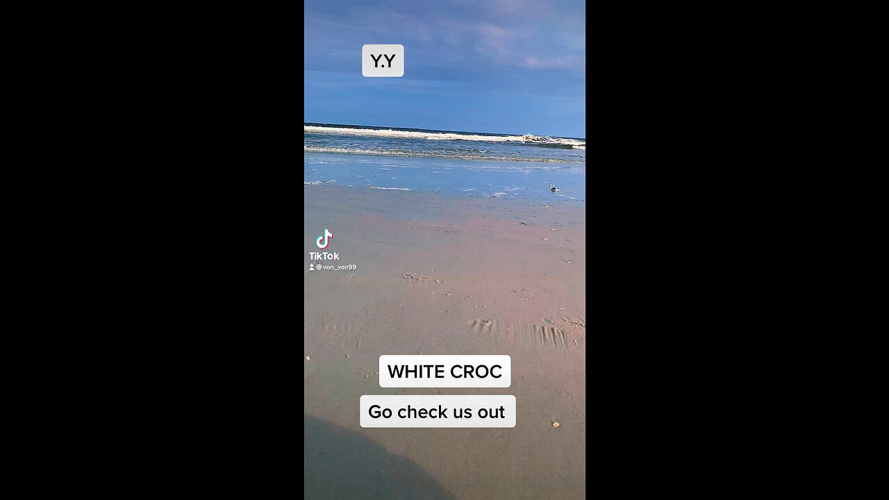 White croc is a movement of music