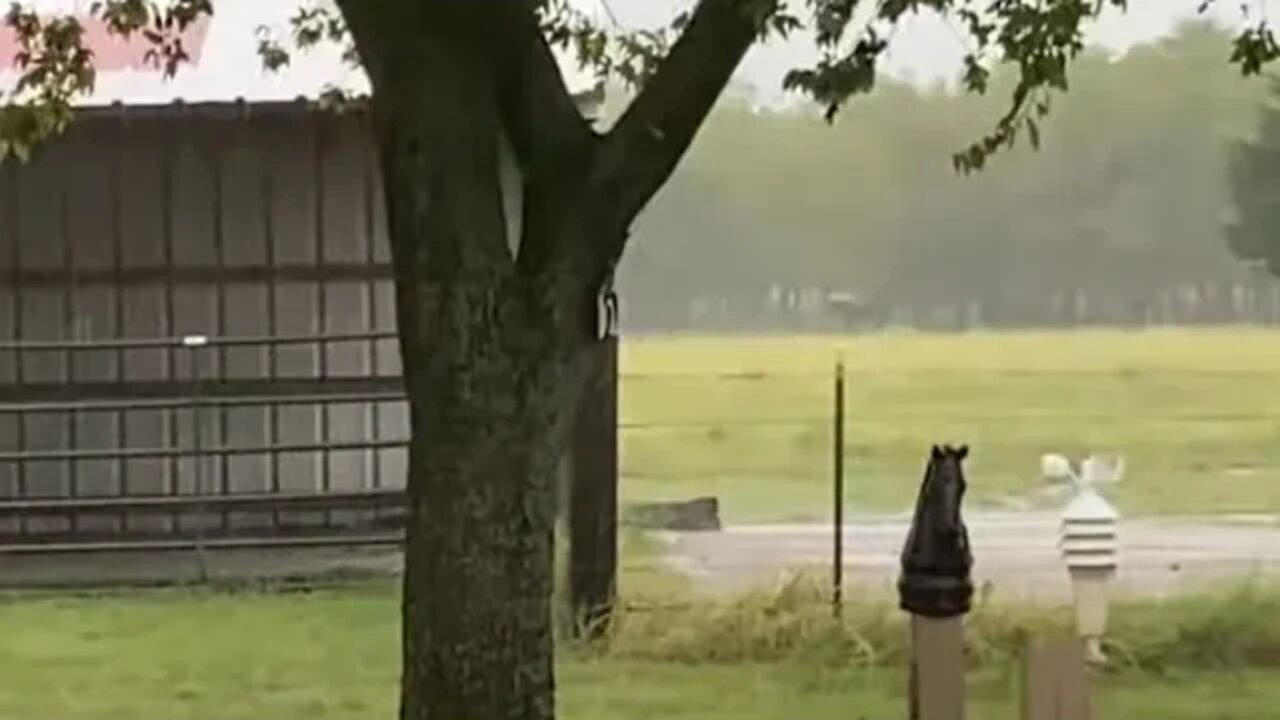 Texas Rain Storm - Six & 1/2 Inches In 12 Hours - Lots Of Rain - Checking On Critters