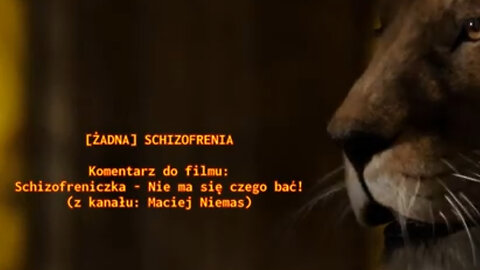 20221116_[żadna]_schizofrenia_komentarz_do_filmu_z_kan_mniemas