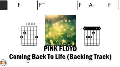 PINK FLOYD Coming Back To Life Backing Track FCN GUITAR CHORDS & LYRICS