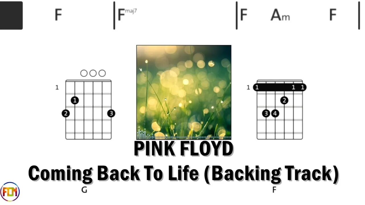 PINK FLOYD Coming Back To Life Backing Track FCN GUITAR CHORDS & LYRICS