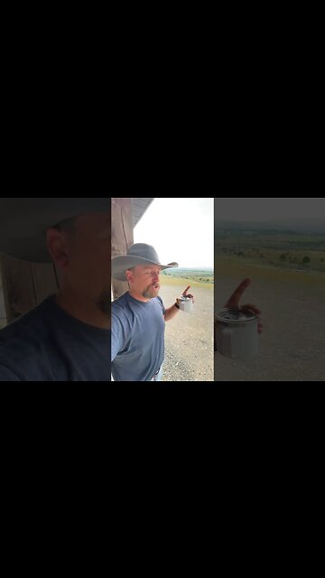 Forest Fires 🔥 vs Logging 🌲