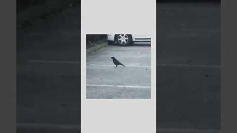 Sharing is caring👍👏😍😍😍