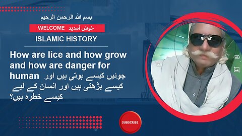 How are lice and how grow and how are danger for human | ISLAMIC HISTORY