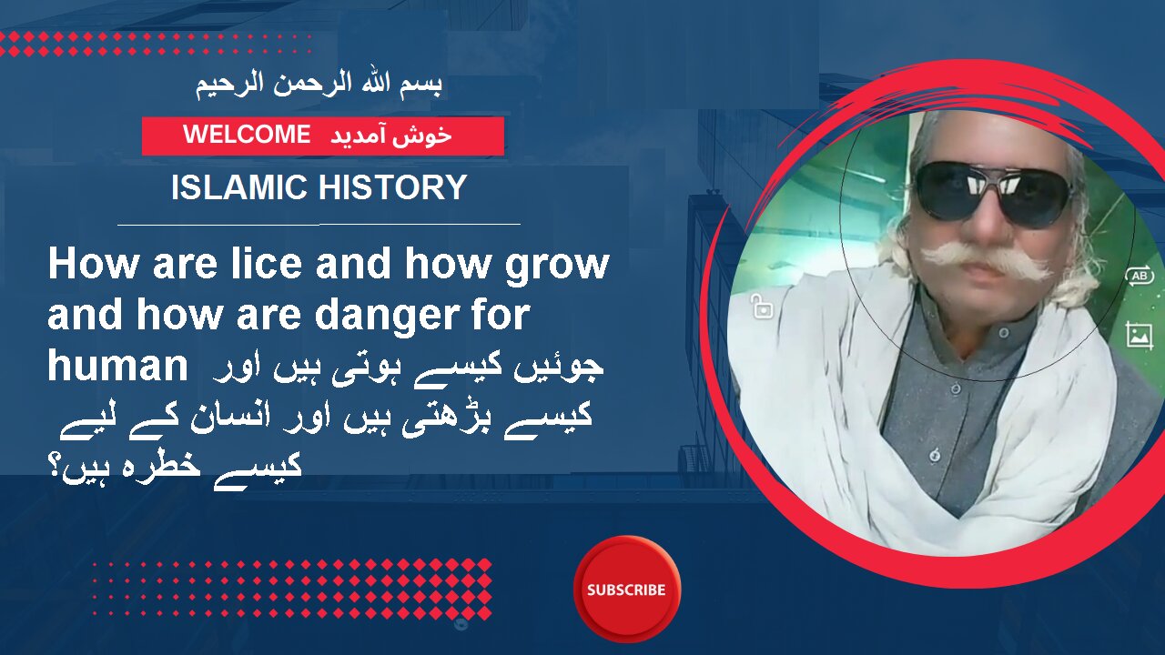 How are lice and how grow and how are danger for human | ISLAMIC HISTORY