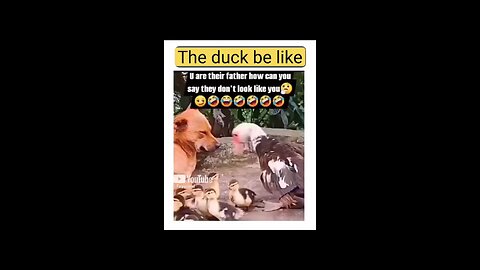 #Funnyvideos