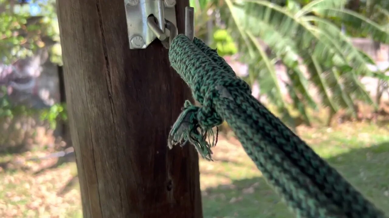 Hammock Sound Swinging