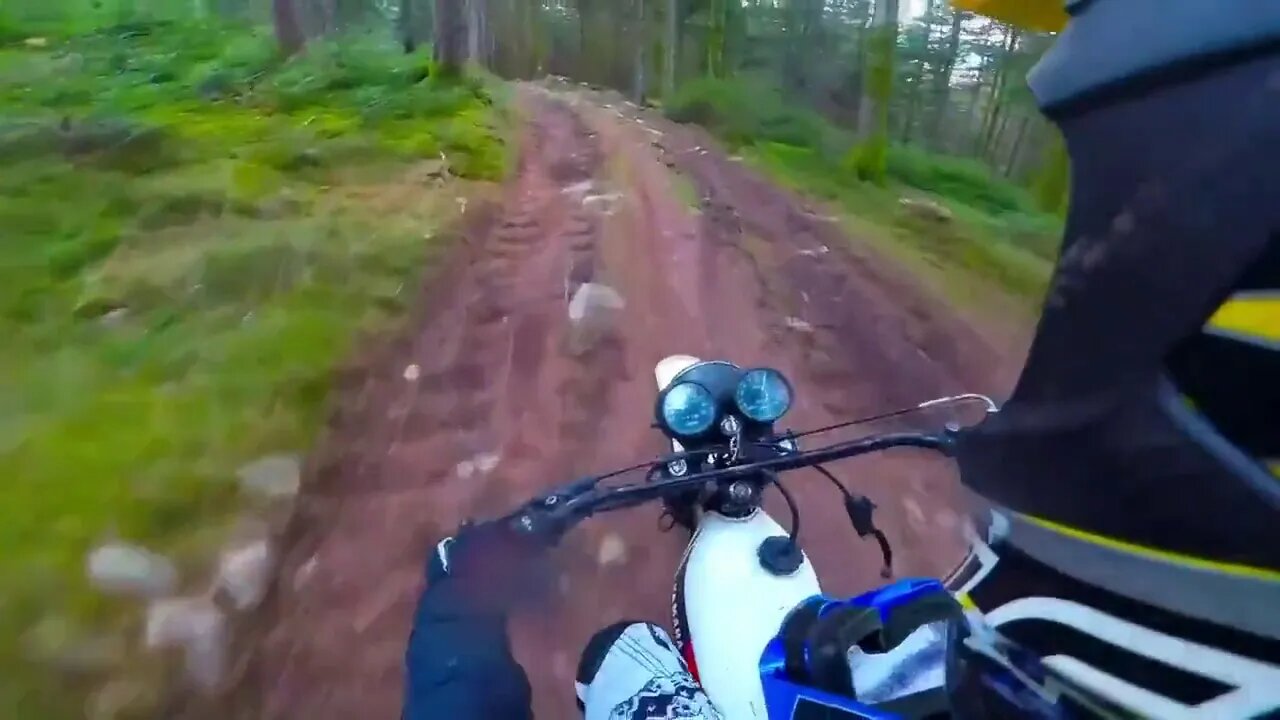 European Model Yamaha DT 175 Mono Shock