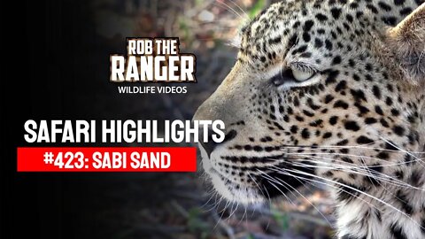 Safari Highlights #423: 02 - 05 August 2016 | Sabi Sand Wildtuin | Latest Wildlife Sightings