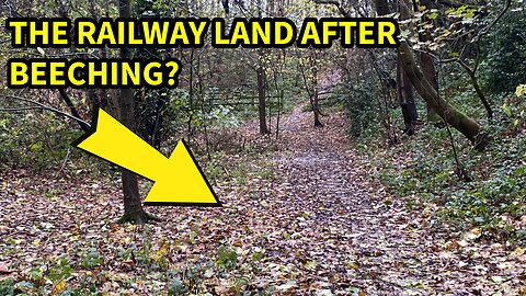 Who Owns Disused Railway Land?