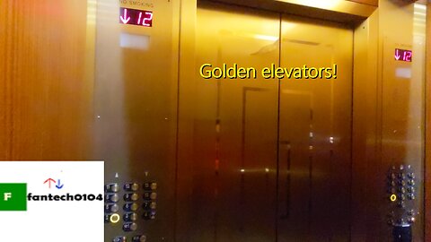Beautiful Traction Elevators @ Rosalie K. Stahl Center - Suffolk University - Boston, Massachusetts