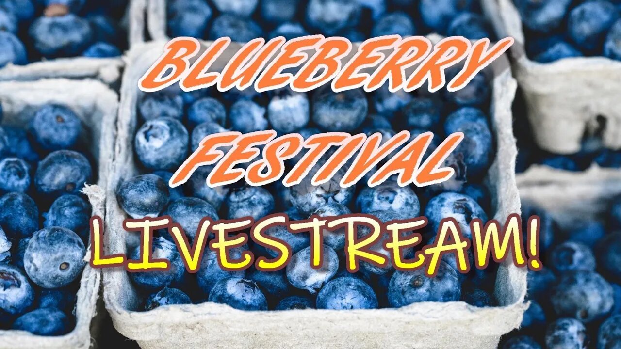 Live At The Blueberry Festival!