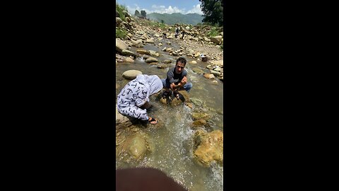 PURE RIVER WATER || in Kashmir