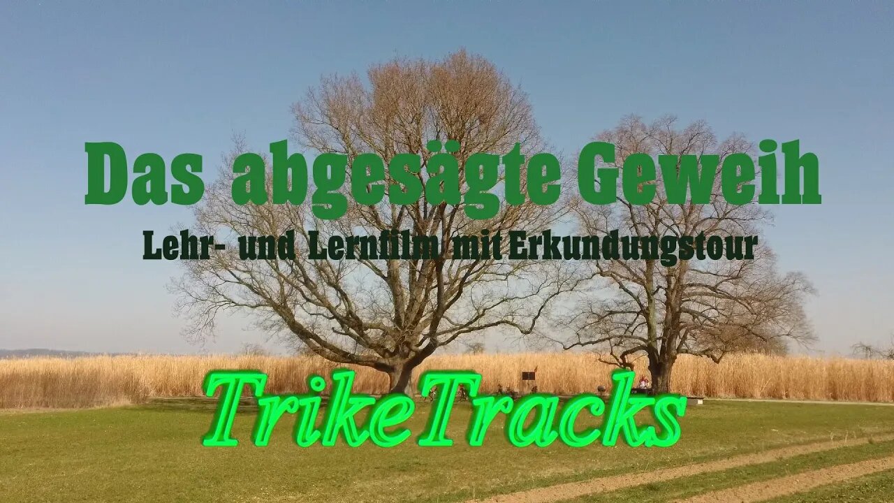 Das abgesägte Geweih 🦌 Lehr- und Lernfilm mit Erkundungstour