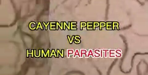 CAYENNE PEPPER VS HUMAN PARASITES (UNDER THE MICROSCOPE) ⚡