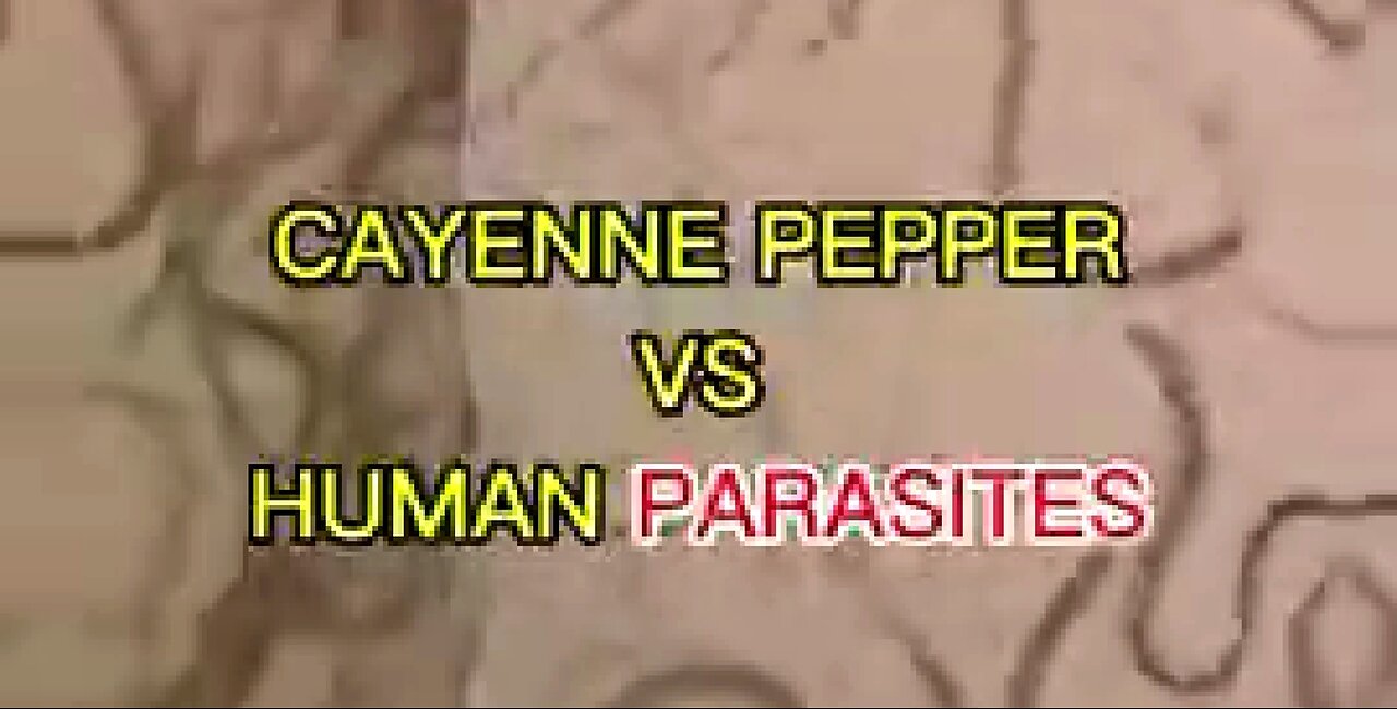 CAYENNE PEPPER VS HUMAN PARASITES (UNDER THE MICROSCOPE) ⚡