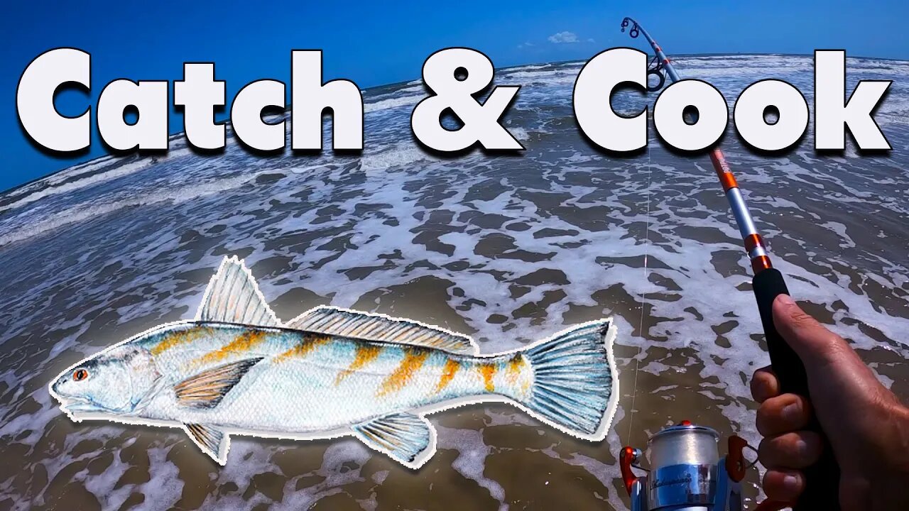 Surf Fishing with a $29 setup for Whiting-Port Aransas Texas