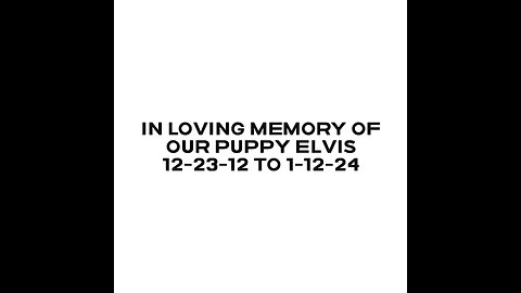 In Loving Memory of our Pup Elvis