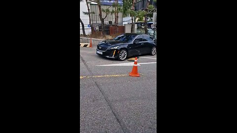 서산 태안에서 보던 gang stalking cars 마포 경찰서에서 발견함 2024/10/27